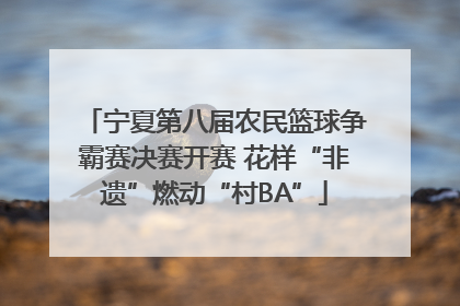 宁夏第八届农民篮球争霸赛决赛开赛 花样“非遗”燃动“村BA”