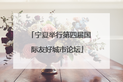 宁夏举行第四届国际友好城市论坛