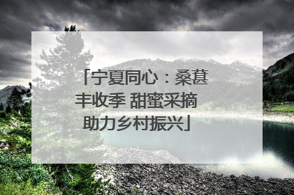 宁夏同心：桑葚丰收季 甜蜜采摘助力乡村振兴