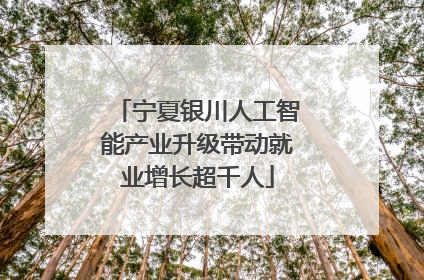 宁夏银川人工智能产业升级带动就业增长超千人
