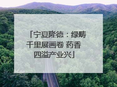 宁夏隆德：绿畴千里展画卷 药香四溢产业兴