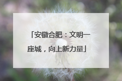 安徽合肥：文明一座城，向上新力量