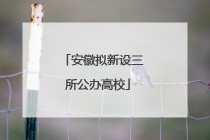 安徽拟新设三所公办高校