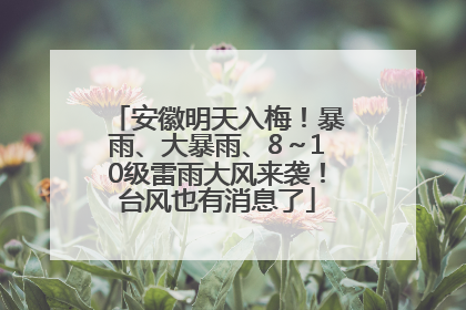 安徽明天入梅！暴雨、大暴雨、8～10级雷雨大风来袭！台风也有消息了