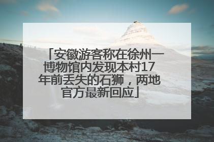 安徽游客称在徐州一博物馆内发现本村17年前丢失的石狮，两地官方最新回应