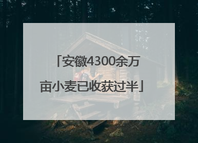 安徽4300余万亩小麦已收获过半