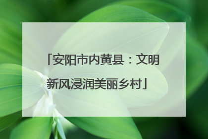安阳市内黄县：文明新风浸润美丽乡村