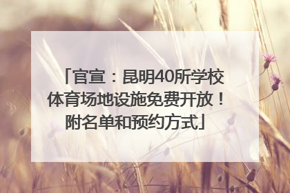 官宣：昆明40所学校体育场地设施免费开放！附名单和预约方式