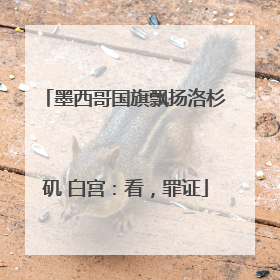 墨西哥国旗飘扬洛杉矶 白宫：看，罪证