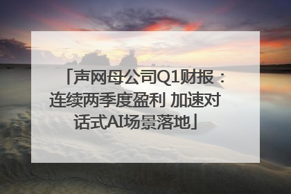 声网母公司Q1财报：连续两季度盈利 加速对话式AI场景落地