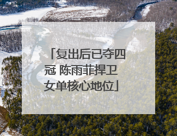 复出后已夺四冠 陈雨菲捍卫女单核心地位