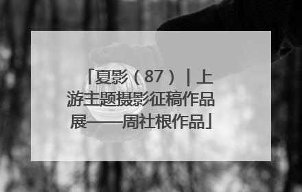 夏影（87）｜上游主题摄影征稿作品展——周社根作品