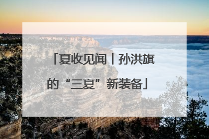 夏收见闻丨孙洪旗的“三夏”新装备