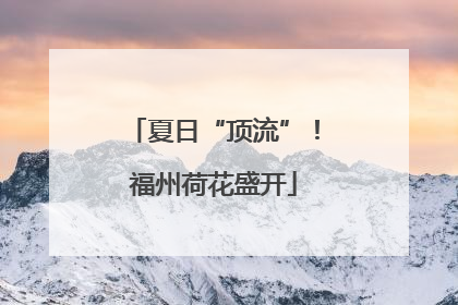 夏日“顶流”！福州荷花盛开