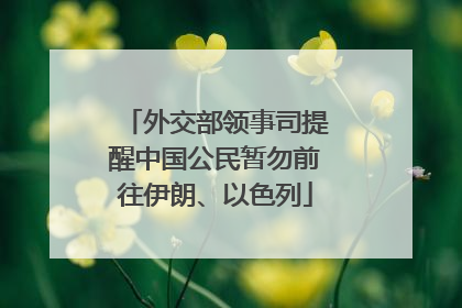 外交部领事司提醒中国公民暂勿前往伊朗、以色列