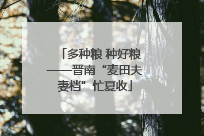 多种粮 种好粮——晋南“麦田夫妻档”忙夏收