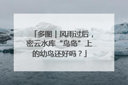 多图｜风雨过后，密云水库“鸟岛”上的幼鸟还好吗？