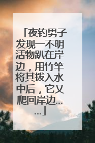 夜钓男子发现一不明活物趴在岸边，用竹竿将其拨入水中后，它又爬回岸边……