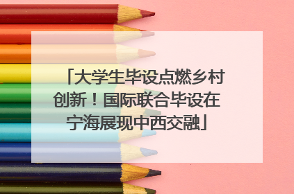 大学生毕设点燃乡村创新！国际联合毕设在宁海展现中西交融