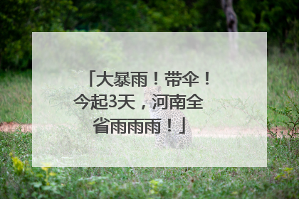 大暴雨！带伞！今起3天，河南全省雨雨雨！