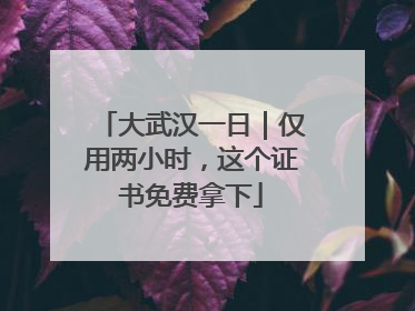 大武汉一日｜仅用两小时，这个证书免费拿下
