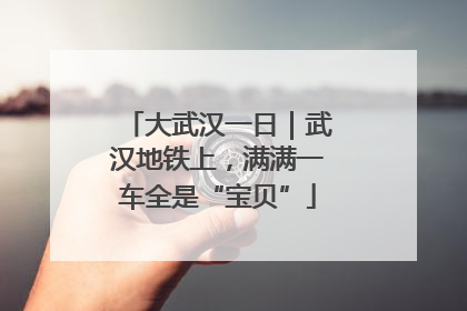 大武汉一日｜武汉地铁上，满满一车全是“宝贝”