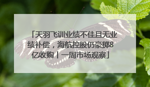 天羽飞训业绩不佳且无业绩补偿，海航控股仍豪掷8亿收购丨一周市场观察