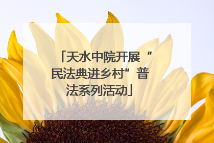 天水中院开展“民法典进乡村”普法系列活动