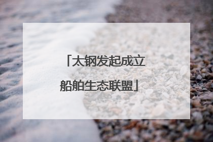 太钢发起成立船舶生态联盟