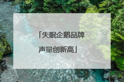 失眠企鹅品牌声量创新高