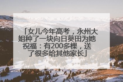 女儿今年高考，永州大姐种了一块向日葵田为她祝福：有200多棵，送了很多给其他家长