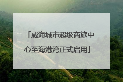 威海城市超级商旅中心至海港湾正式启用