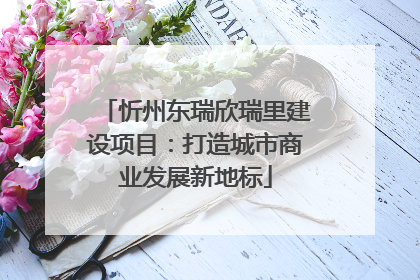 忻州东瑞欣瑞里建设项目：打造城市商业发展新地标