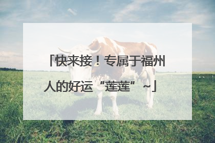 快来接！专属于福州人的好运“莲莲”~