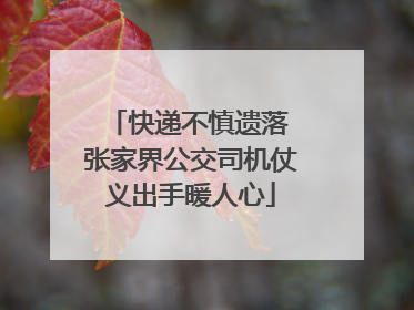 快递不慎遗落 张家界公交司机仗义出手暖人心