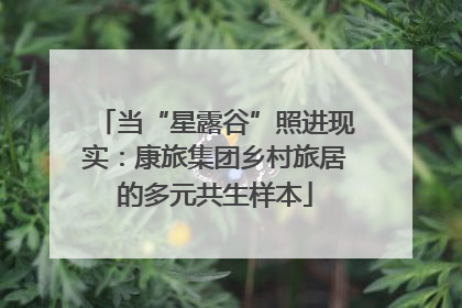 当“星露谷”照进现实：康旅集团乡村旅居的多元共生样本