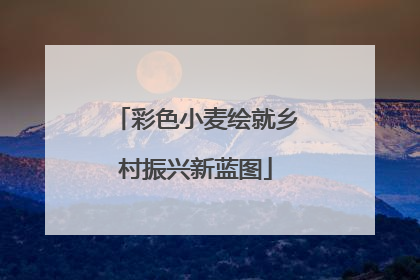 彩色小麦绘就乡村振兴新蓝图