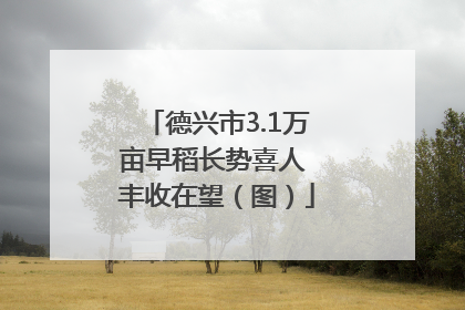 德兴市3.1万亩早稻长势喜人 丰收在望（图）