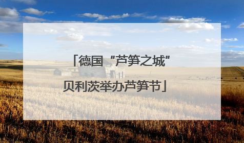 德国“芦笋之城”贝利茨举办芦笋节