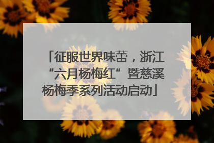 征服世界味蕾，浙江“六月杨梅红”暨慈溪杨梅季系列活动启动