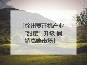 徐州贾汪桃产业“甜蜜”升级 俏销高端市场