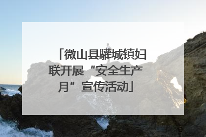 微山县驩城镇妇联开展“安全生产月”宣传活动