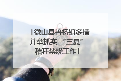 微山县鲁桥镇多措并举抓实 “三夏” 秸秆禁烧工作