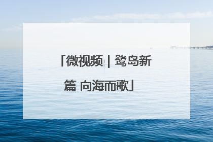 微视频｜鹭岛新篇 向海而歌