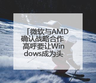 微软与AMD确认战略合作 高呼要让Windows成为头号游戏平台
