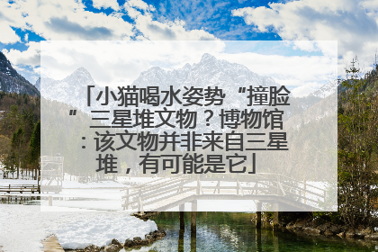 小猫喝水姿势“撞脸”三星堆文物？博物馆：该文物并非来自三星堆，有可能是它
