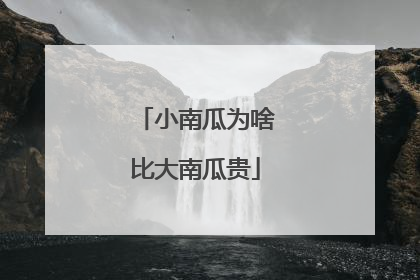小南瓜为啥比大南瓜贵