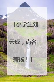 小学生刘云成，点名表扬！