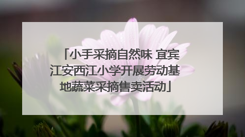 小手采摘自然味 宜宾江安西江小学开展劳动基地蔬菜采摘售卖活动