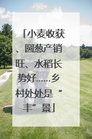 小麦收获、圆葱产销旺、水稻长势好……乡村处处是“丰”景
